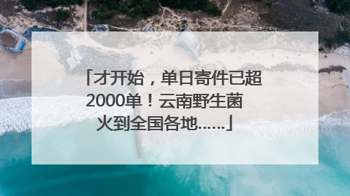 才开始，单日寄件已超2000单！云南野生菌火到全国各地……
