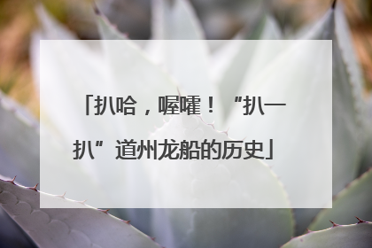 扒哈，喔嚯！“扒一扒”道州龙船的历史