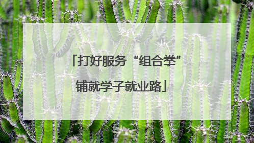 打好服务“组合拳” 铺就学子就业路