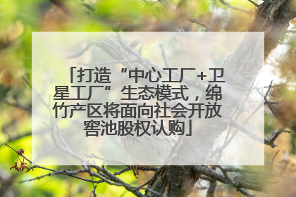打造“中心工厂+卫星工厂”生态模式，绵竹产区将面向社会开放窖池股权认购