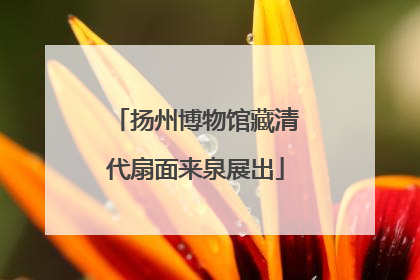 扬州博物馆藏清代扇面来泉展出