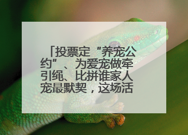 投票定“养宠公约”、为爱宠做牵引绳、比拼谁家人宠最默契，这场活动有趣更有意义