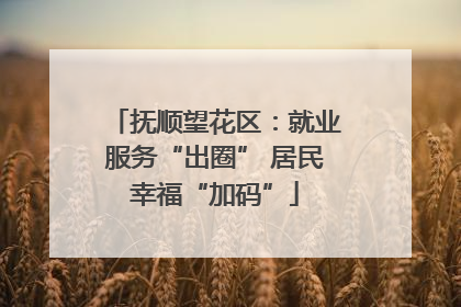 抚顺望花区：就业服务“出圈” 居民幸福“加码”