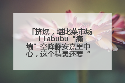 挤爆，堪比菜市场！Labubu“痛墙”空降静安嘉里中心，这个精灵还要“突袭”便利店？