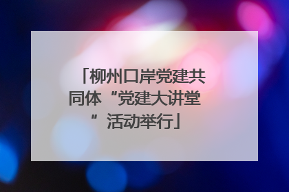 柳州口岸党建共同体“党建大讲堂”活动举行
