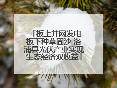 板上并网发电 板下种草固沙 洛浦县光伏产业实现生态经济双收益