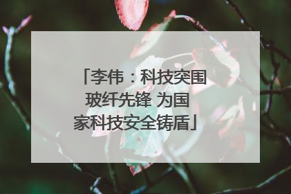 李伟：科技突围 玻纤先锋 为国家科技安全铸盾
