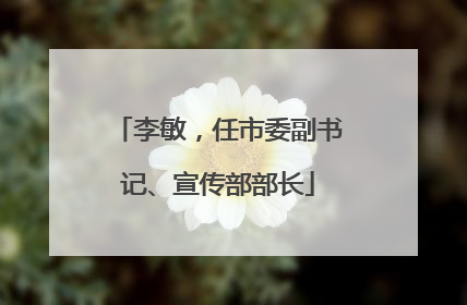 李敏，任市委副书记、宣传部部长