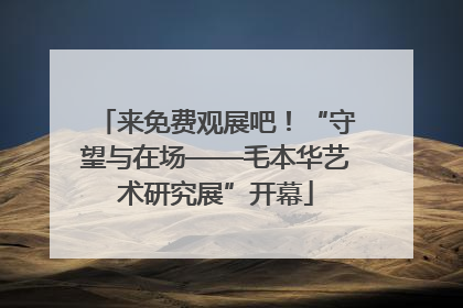 来免费观展吧！“守望与在场——毛本华艺术研究展”开幕