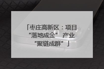 枣庄高新区：项目“落地成金” 产业“聚链成群”