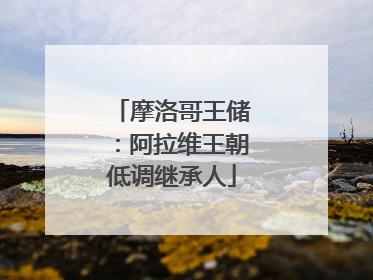摩洛哥王储：阿拉维王朝低调继承人