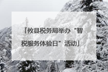 攸县税务局举办“智税服务体验日”活动