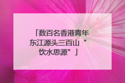 数百名香港青年东江源头三百山“饮水思源”