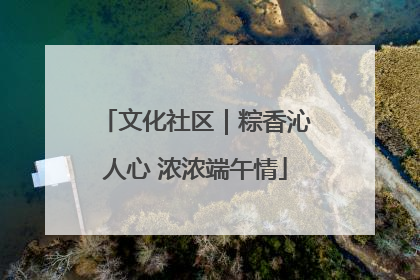 文化社区｜粽香沁人心 浓浓端午情