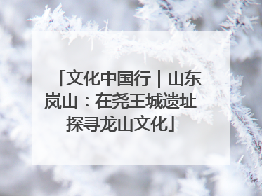 文化中国行｜山东岚山：在尧王城遗址探寻龙山文化