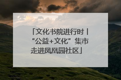 文化书院进行时丨“公益+文化”集市走进凤凰园社区