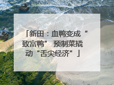 新田：血鸭变成“致富鸭” 预制菜撬动“舌尖经济”