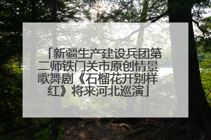 新疆生产建设兵团第二师铁门关市原创情景歌舞剧《石榴花开别样红》将来河北巡演
