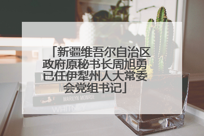 新疆维吾尔自治区政府原秘书长周旭勇已任伊犁州人大常委会党组书记