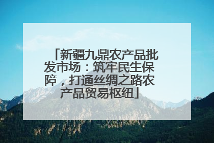 新疆九鼎农产品批发市场：筑牢民生保障，打通丝绸之路农产品贸易枢纽