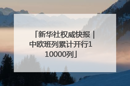 新华社权威快报｜中欧班列累计开行110000列