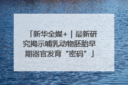 新华全媒+｜最新研究揭示哺乳动物胚胎早期器官发育“密码”