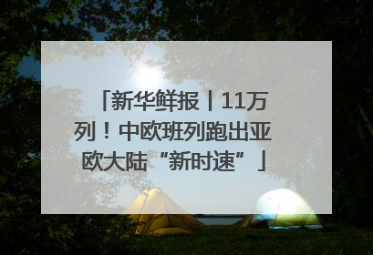 新华鲜报丨11万列！中欧班列跑出亚欧大陆“新时速”