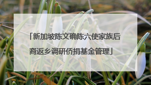 新加坡陈文确陈六使家族后裔返乡调研侨捐基金管理