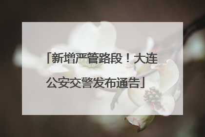 新增严管路段！大连公安交警发布通告