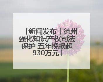 新闻发布丨德州强化知识产权司法保护 五年挽损超930万元