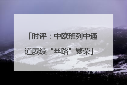 时评：中欧班列中通道赓续“丝路”繁荣