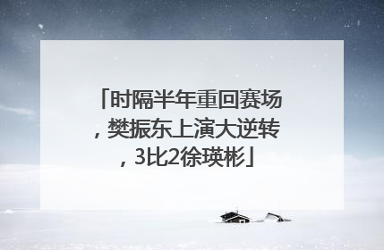时隔半年重回赛场，樊振东上演大逆转，3比2徐瑛彬