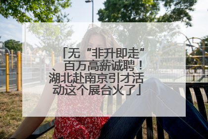 无“非升即走”、百万高薪诚聘！湖北赴南京引才活动这个展台火了