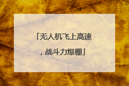 无人机飞上高速，战斗力爆棚