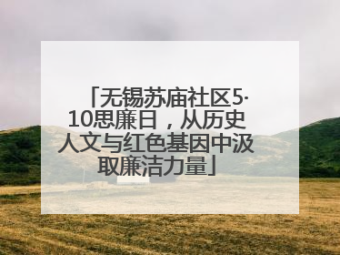 无锡苏庙社区5·10思廉日，从历史人文与红色基因中汲取廉洁力量