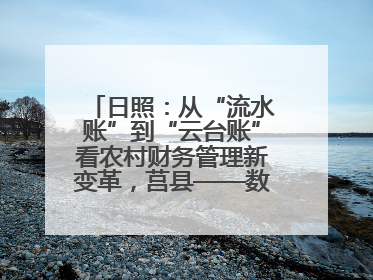 日照：从“流水账”到“云台账”看农村财务管理新变革，莒县——数字赋能激活乡村振兴“一池春水”