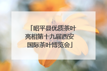 昭平县优质茶叶亮相第十九届西安国际茶叶博览会