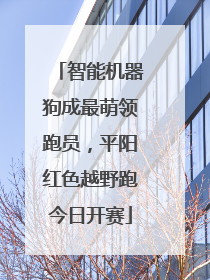 智能机器狗成最萌领跑员，平阳红色越野跑今日开赛