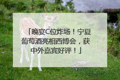 晚宴C位炸场！宁夏葡萄酒亮相西博会，获中外嘉宾好评！
