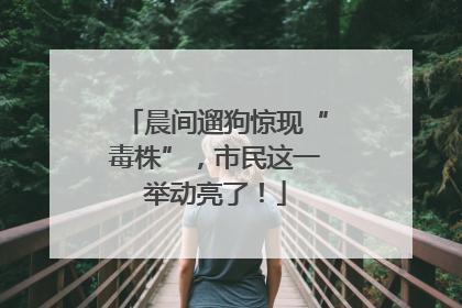 晨间遛狗惊现“毒株”，市民这一举动亮了！