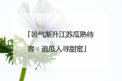 暑气渐升江苏瓜熟待客：追瓜人寻甜蜜