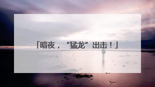 暗夜，“猛龙”出击！