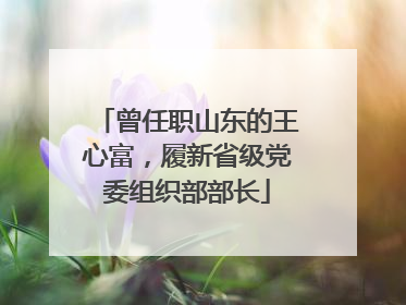 曾任职山东的王心富，履新省级党委组织部部长