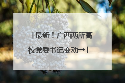 最新！广西两所高校党委书记变动→