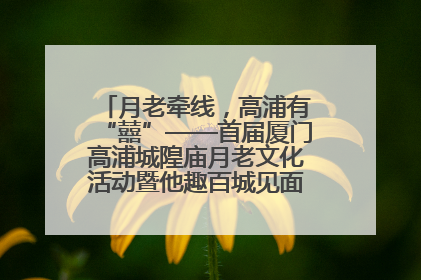 月老牵线，高浦有“囍”——首届厦门高浦城隍庙月老文化活动暨他趣百城见面会隆重举办