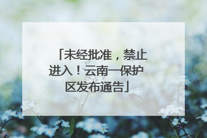 未经批准，禁止进入！云南一保护区发布通告