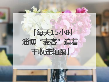 每天15小时 淄博“麦客”追着丰收连轴跑