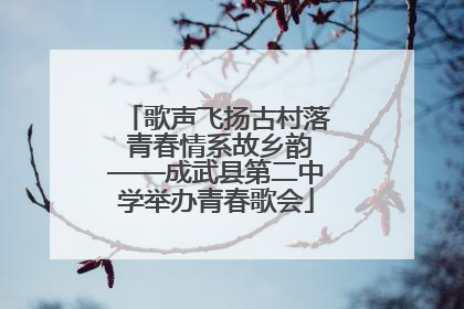 歌声飞扬古村落 青春情系故乡韵——成武县第二中学举办青春歌会