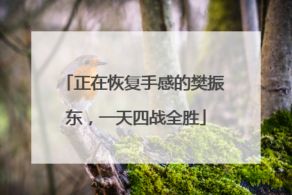正在恢复手感的樊振东，一天四战全胜