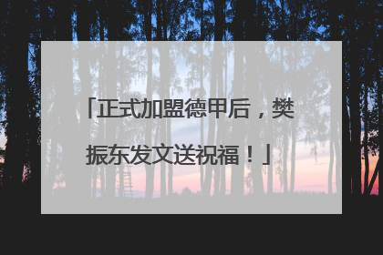 正式加盟德甲后，樊振东发文送祝福！